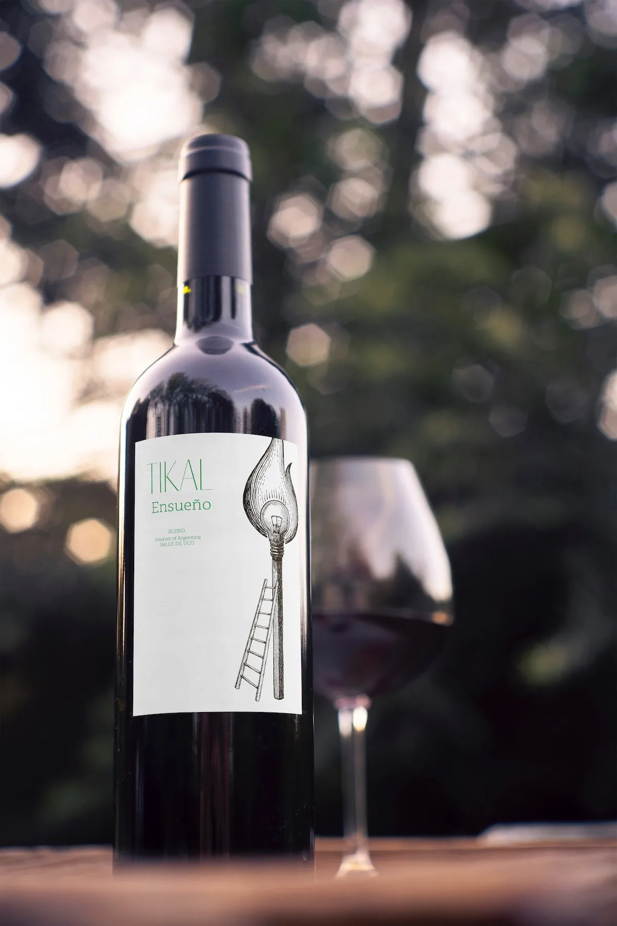 Ander Janín - Proyecto de diseño gráfico - Tikai