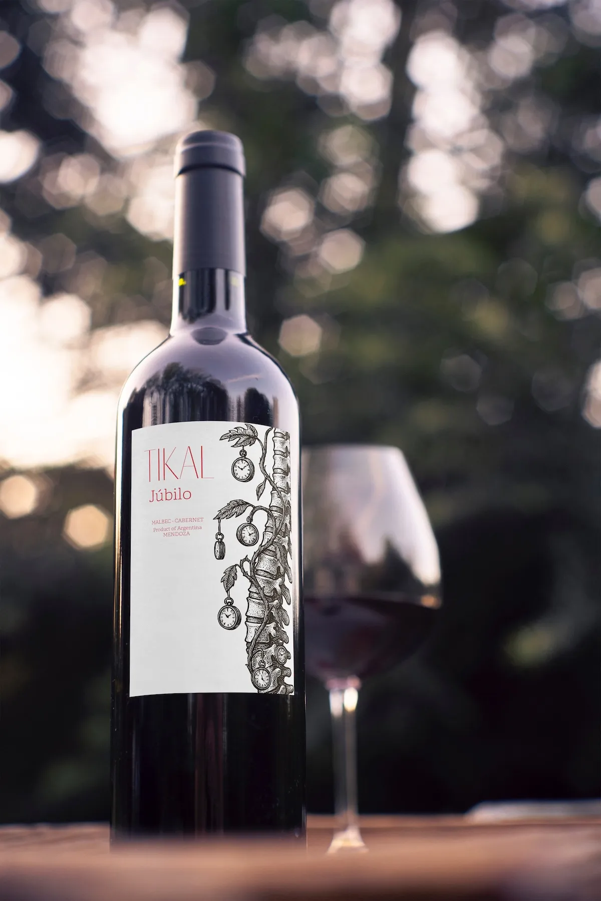 Ander Janín - Proyecto de diseño gráfico - Tikai