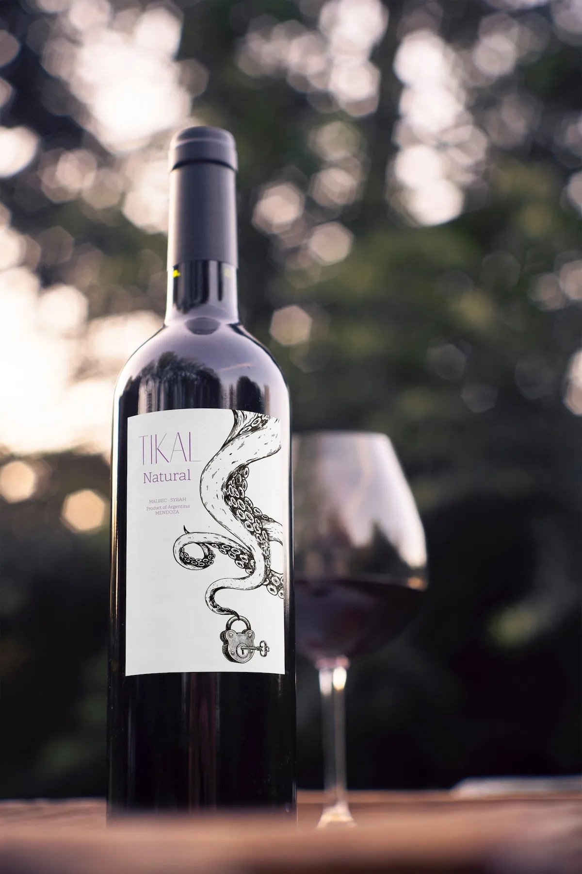 Ander Janín - Proyecto de diseño gráfico - Tikai