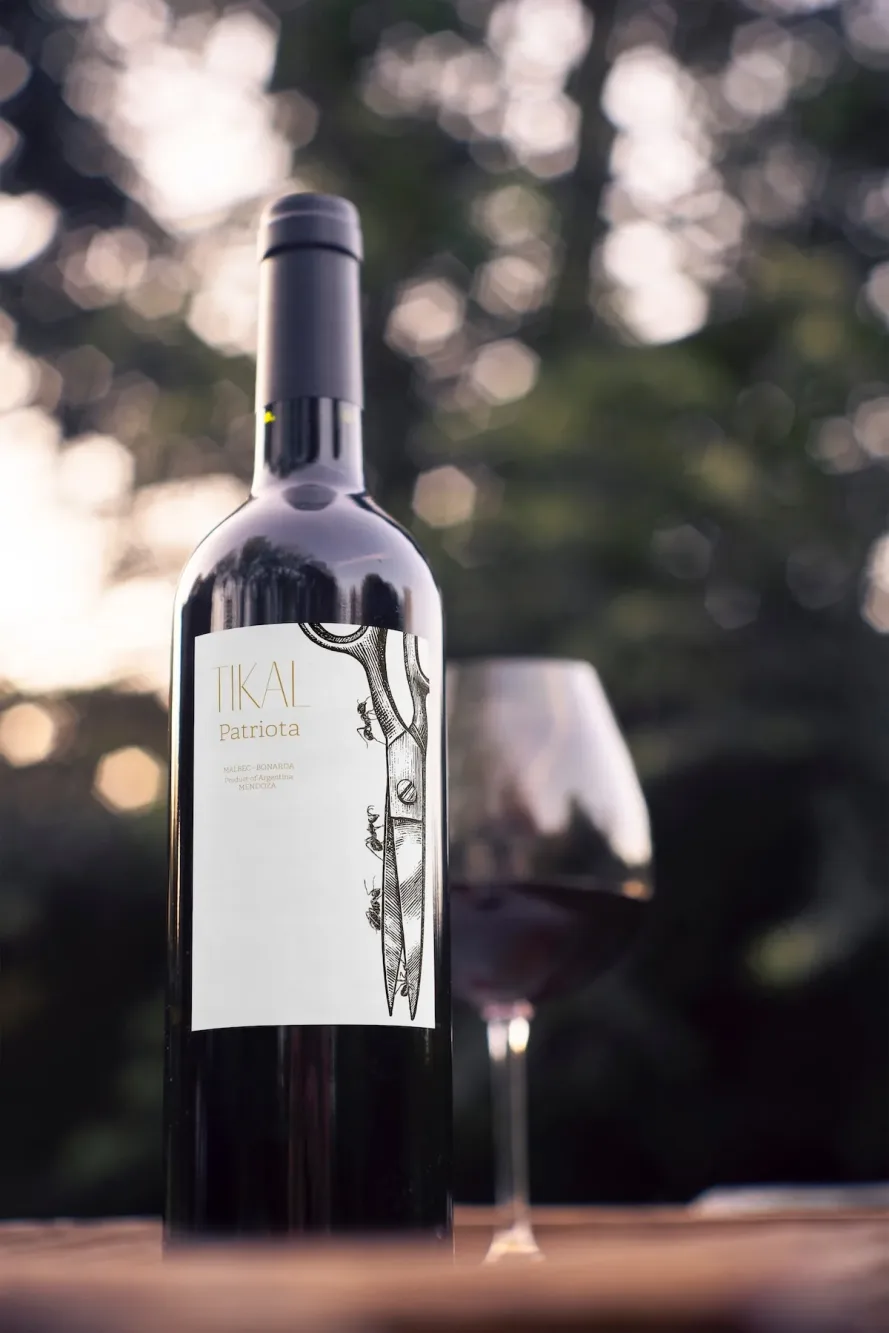 Ander Janín - Proyecto de diseño gráfico - Tikai