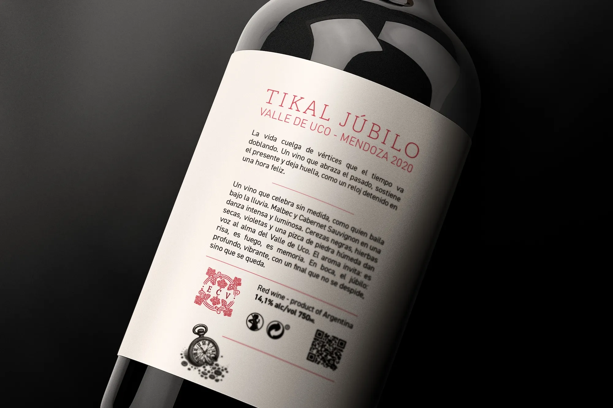 Ander Janín - Proyecto de diseño gráfico - Tikai