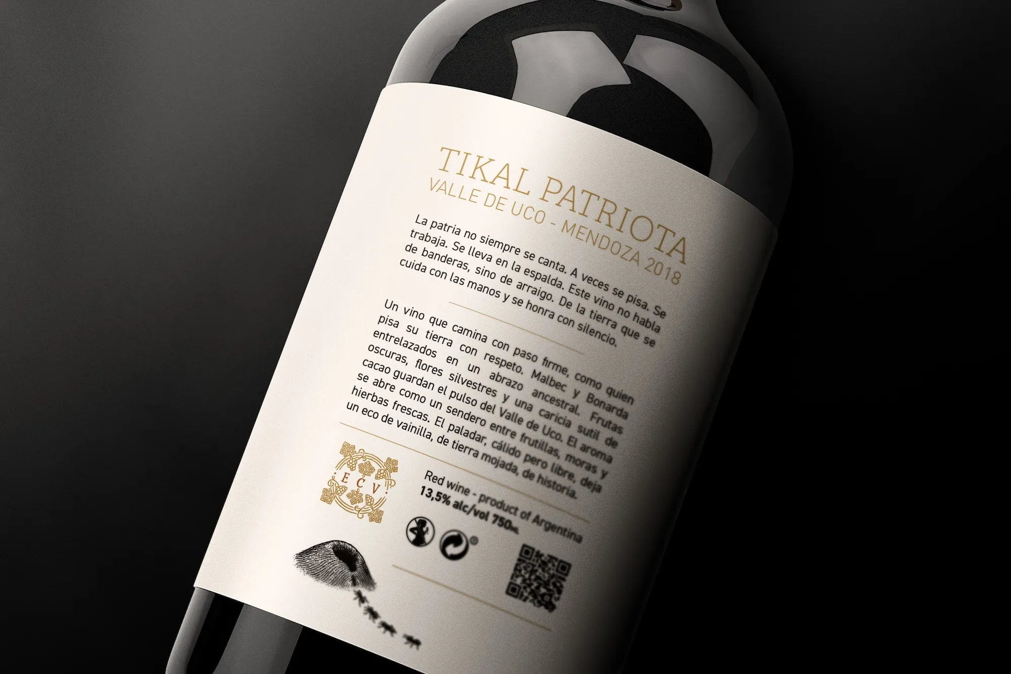 Ander Janín - Proyecto de diseño gráfico - Tikai