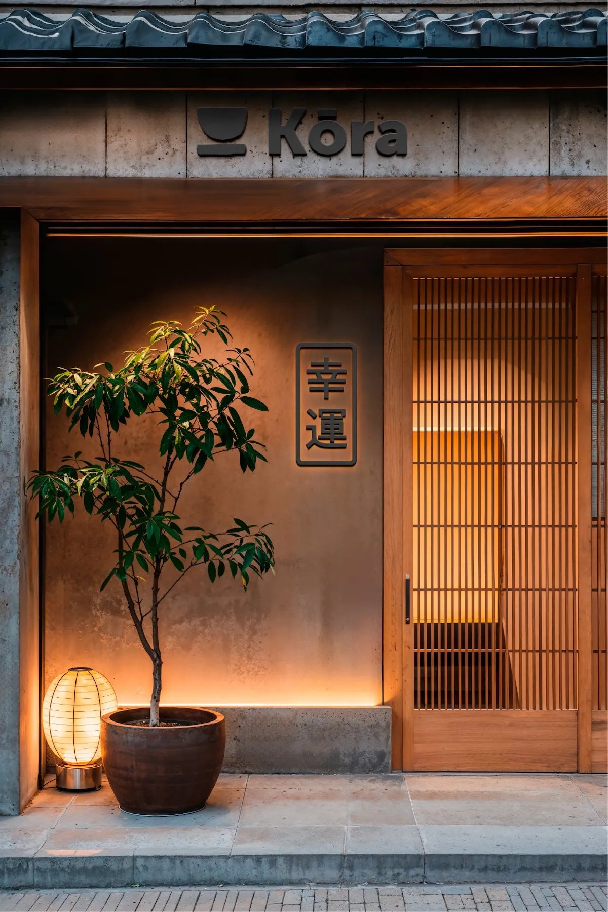 Ander Janín - Proyecto de diseño gráfico - Kora