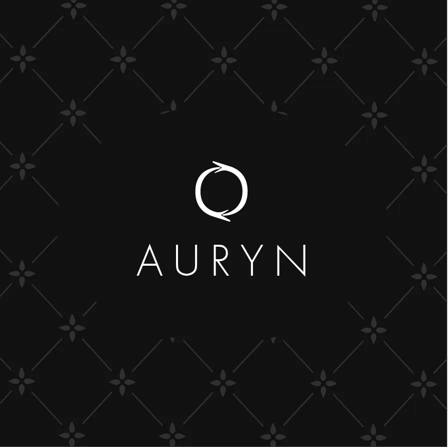 Ander Janín - Auryn (portada)