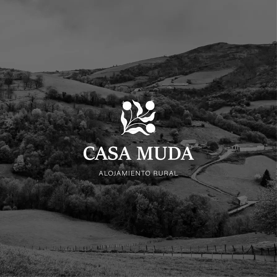 Ander Janín - Casa Muda (portada)