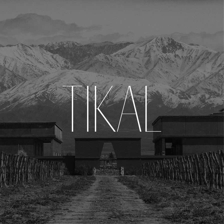 Ander Janín - Tikal (portada)