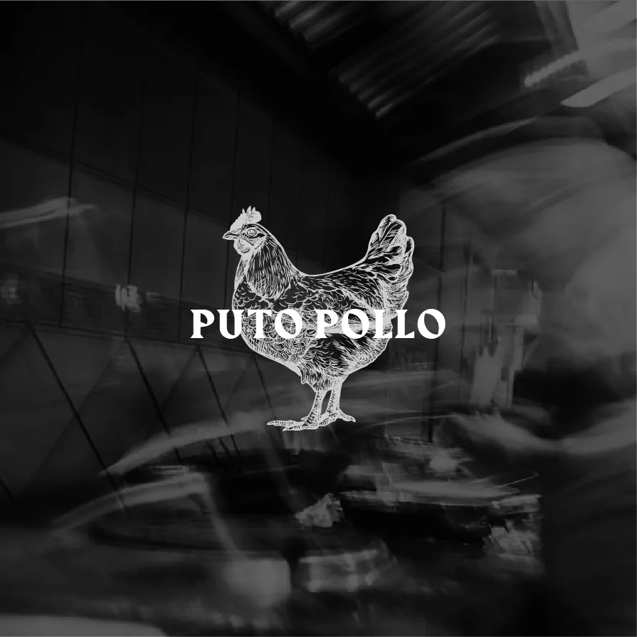 Ander Janín - Puto Pollo (portada)