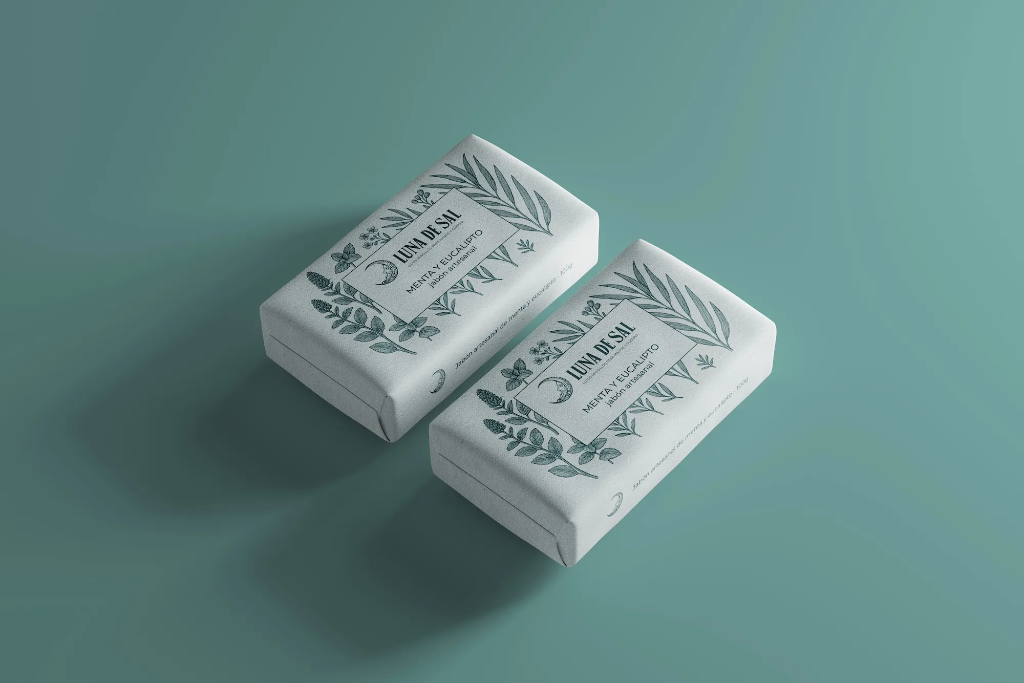 Ander Janín - Proyecto de diseño gráfico - Luna de sal