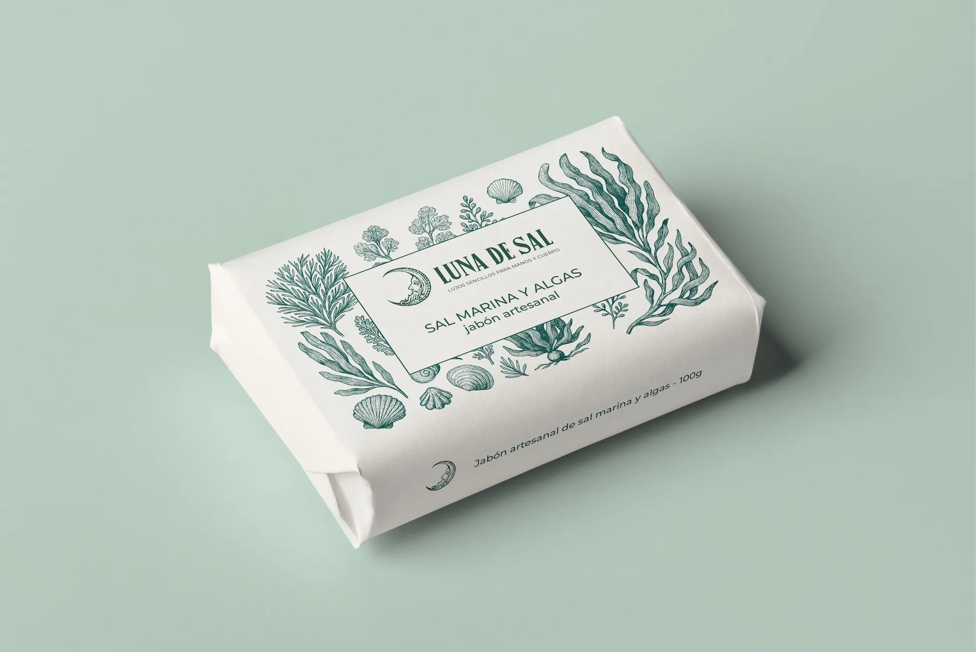 Ander Janín - Proyecto de diseño gráfico - Luna de sal