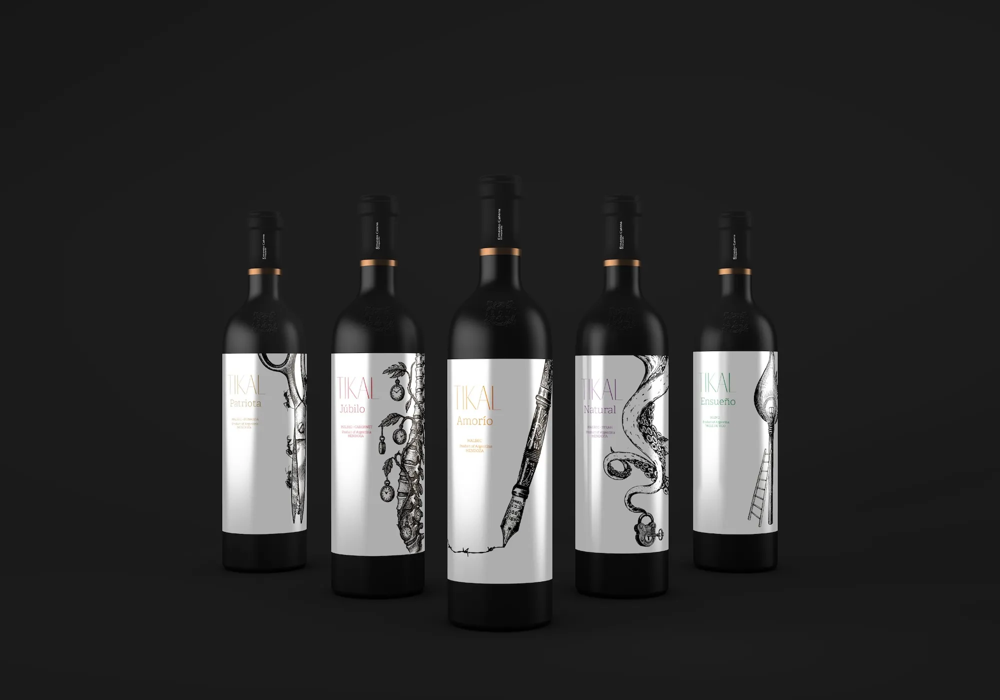 Ander Janín – Proyecto de diseño gráfico – Tikai Ander Janín - Proyecto de diseño gráfico - Tikai