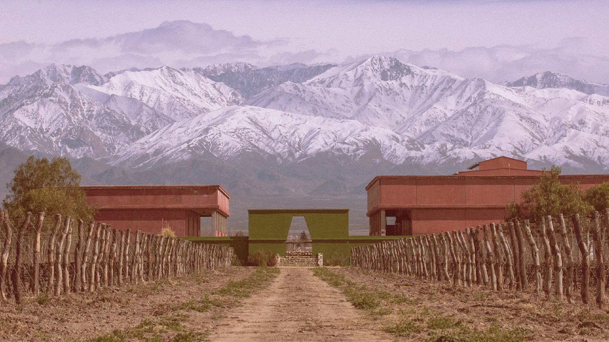 Ander Janín – Proyecto de diseño gráfico – Tikai Ander Janín - Proyecto de diseño gráfico - Tikai