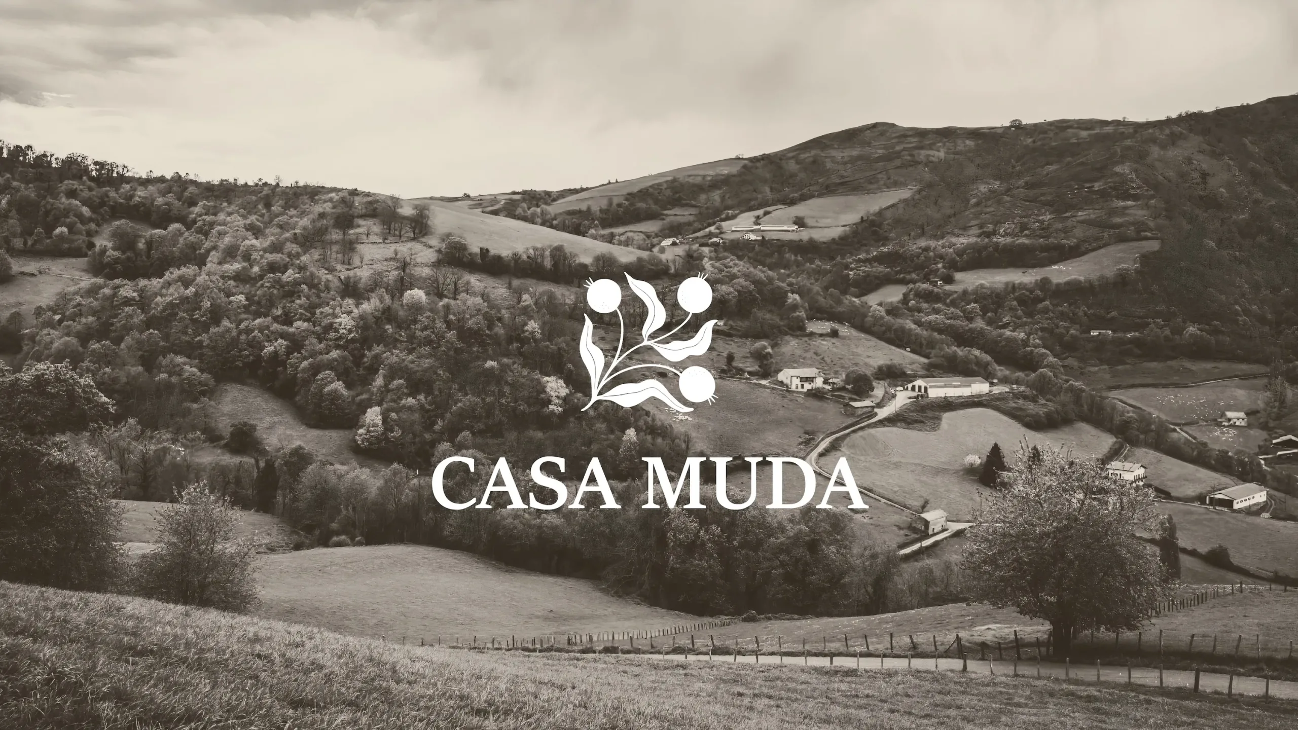 Ander Janín – Proyecto de diseño gráfico – Casa Muda Ander Janín - Proyecto de diseño gráfico - Casa Muda