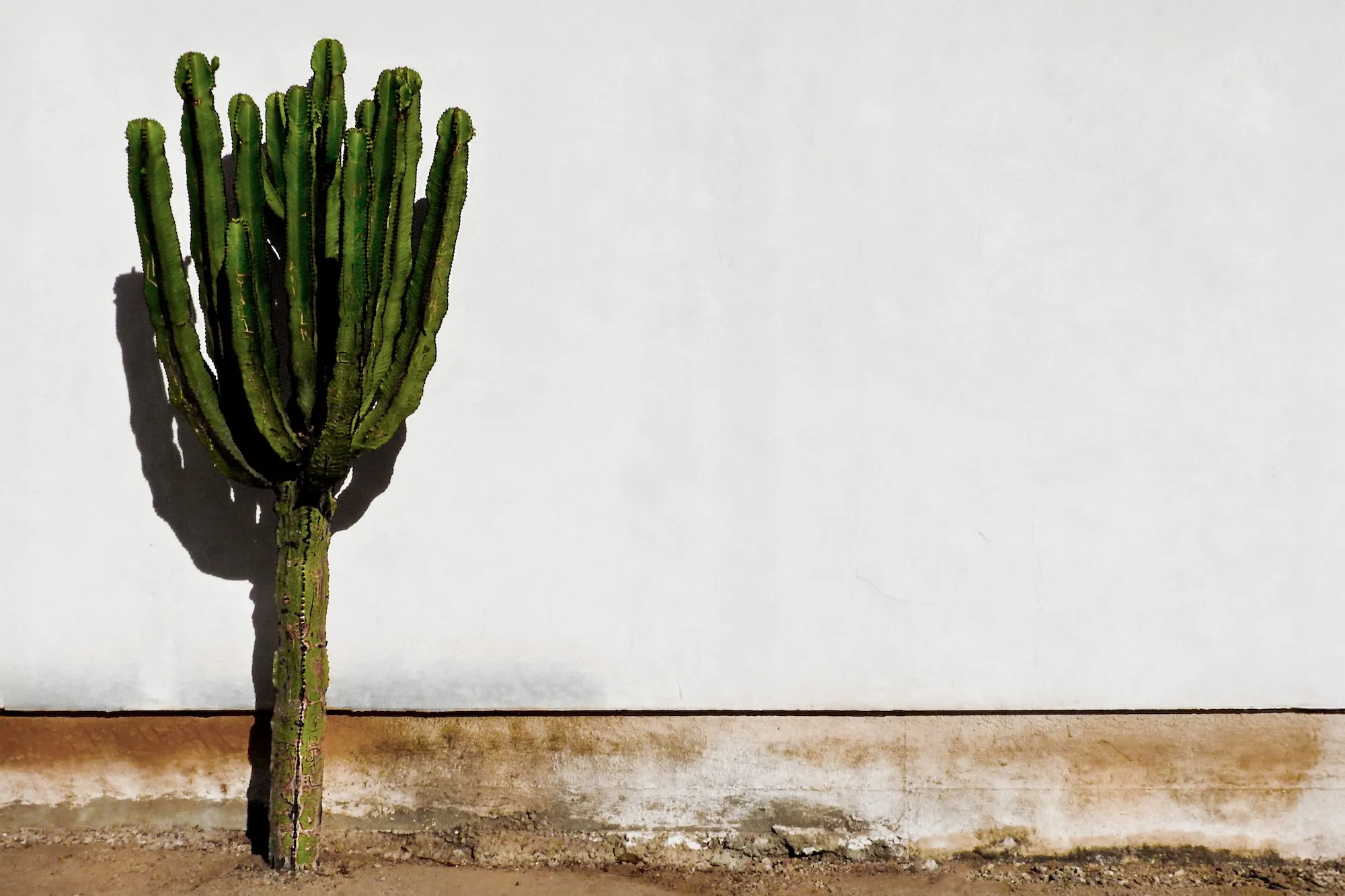 Ander Janín - Diseñador gráfico